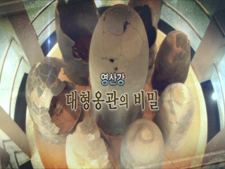 한국사 探 - 영산강 대형옹관의 비밀