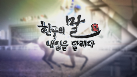 [스페셜] 한국의 말, 내일을 달리다 3부: 제주, 명마를 키운다